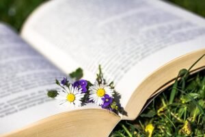 Livre avec des plantes pour adapter les connaissances aux plantes